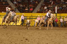 Michael Ortega and Dominic Silva start another year at Mesalands