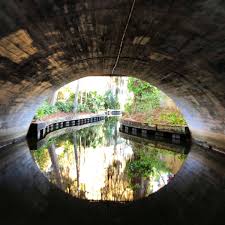 Venetian Canal, Winter Park Scenic Boat Tour : orlando