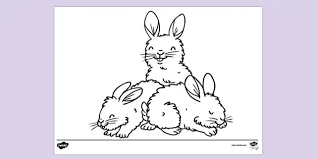Plus, it's an easy way to celebrate each season or special holidays. Baby Animals Colouring In Page Parents Colouring