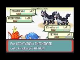It hurt itself in confusion. Pokemon Emerald Magikarp Solo Run Part 7 B It Hurt Itself In It S Confusion Youtube