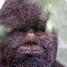 PLEASE READ 👇 There has been quite a bit of discussion in the group about  my recent expedition in Radium with Todd Standing, and the subsequent  release of audio and video recordings