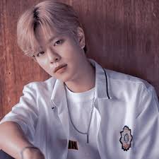 Maybe you would like to learn more about one of these? Seungmin Stray Kids Aesthetic Stray Kids Seungmin Kids Icon Kids