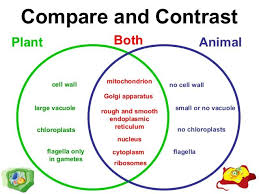 Animal Cells Vs Plant Cells Science Cells Animal Cell Plant And Animal Cells