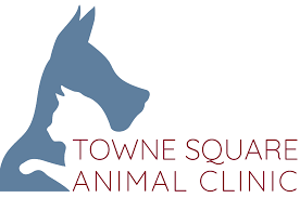 We did not find results for: Veterinarian In Blue Ash Oh 45242 Towne Square Animal Clinic