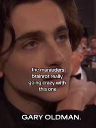 Timothee Chalamet Gary Altman Mauraders