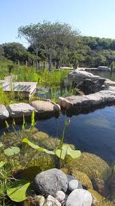 Natural Swimming Pools Natural Swimming Ponds Swimming Pool Pond Natural Swimming Pools