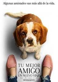 Estrenos De Cine De La Semana 28 De Junio 2019 Magazinespain Com Peliculas Completas Gratis Peliculas Completas Peliculas