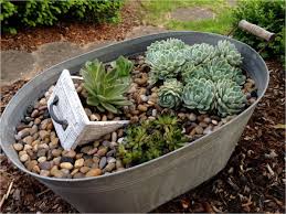 Zinkwanne Bepflanzen Kuebel Miniteich Hauswurz In Blechwanne Gartentipps Pinterest Sukulen Taman Sukulen Menanam