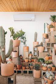 Los angeles ca real estate & homes for sale. Inside Cactus Store In Echo Park Los Angeles California Haarkon