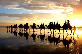 Thar camel safari provides unforgettable memories of your trip in jaisalmer. You Haven T Done Broome Until You Ve Done A Sunset Camel Ride Australian Traveller