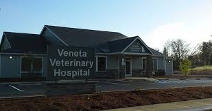 We did not find results for: Veneta Veterinary Hospital