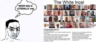Who claims that women only like bad boys and that they are. Pol Wojak Poljak Le Pol Face Know Your Meme