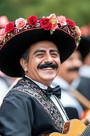 Prickly Spines Adorning The Rose Trees Branches Spikes Danger Prickly Photo  Background And Picture For Free Download