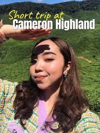 Keindahan Cameron Highland: Pemandangan Menakjubkan dan Destinasi Unik