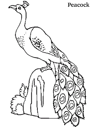 We did not find results for: Free Printable Peacock Coloring Pages For Kids Peacock Coloring Pages Animal Coloring Pages Digital Stamps Flowers
