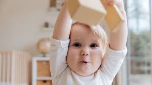 Wholesome Brain Medicine