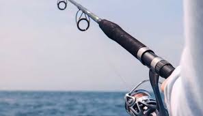 Best Saltwater Fishing Rods Useful Reviews Top Picks En 2020