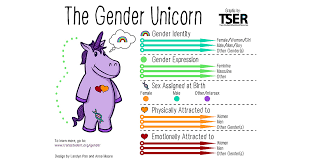 The lgbtq+ acronym is a term used to describe people who are transgender and/or attracted to the same gender. Lgbtq And You An Introductory Glossary Of Terms And Usage Pacific Northwest Umc News Blog