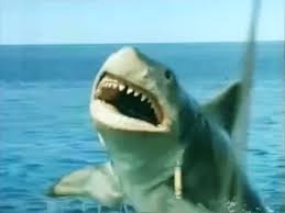 The revenge takes it to. How Jaws The Revenge Jumped The Shark