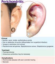 Rosh Review Pediatric Nurse Practitioner Medical Mnemonics Human Anatomy And Physiology