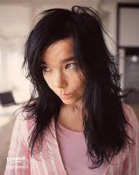 Björk's Iconic 2000 Photoshoot: A Visual Journey