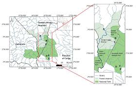 Image result for Uvariastrum germainii