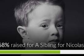 Fundraiser for Stephanie Reay Wardrop by Ashley Brooke Carter : A Sibling  for Nicolas