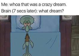The Biggest Harvest Of Spongebob Memes Funny Spongebob Memes Sleep Meme Funny Sleep Funny