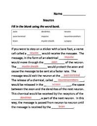 Pin On Science Worksheets