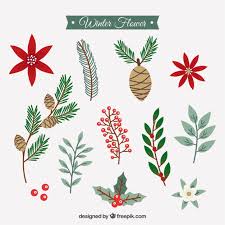 If you google winter flowers for wedding, you're going to get star of bethlehem in the top three results every single time. Free Vector Collection Of Winter Flowers In Vintage Style