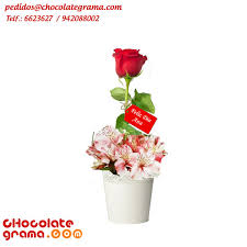Eres secretaria de vocación por ello eres muy profesional y dedicada a tu trabajo. Regalos Dia De La Secretaria Regalos Para Dia De La Madre Regalos Peru Delivery De Regalos Lima Chocolategrama Tazas Personalizadas Peru Almohadas Personalizadas Peru