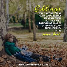 In honor of celebrating it, our team has carefully selected these sibling quotes for you to. Sibling Quotes That Will Make You Love Your Family More