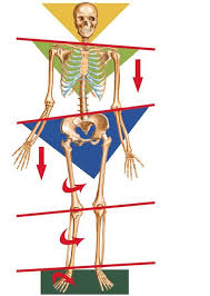 Pin Em Lower Back Pain Solutions