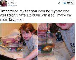 Need some inspirational to get your funny on? Literally Just 100 Funny Pictures Funny Kids Laugh Funny Pictures