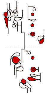 How To Play The Bassoon Bassoon Fingering Chart Musical