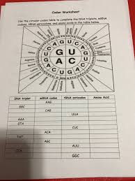 Codon To Amino Acid Circle Chart Worksheet Answers