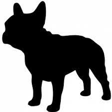 Black And White Frenchie Dog 