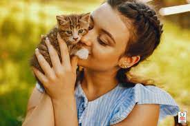 Que Significa Sonar Con Gatos Bebes Blog Agrocampo Colombia