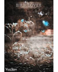Picsart Hd Wallpaper Picsart Background Images Free Download In 2021 Photo Background Images Love Background Images Iphone Background Images Find & download the most popular free stock photos on freepik free for commercial use high resolution images made for creative projects.