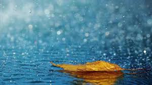 You will be downloading a powerful tool that will allow you to use various types of amazing and animated wallpapers on your windows desktop, including 3d and 2d animations. Beautiful Rain Wallpapers Top Free Beautiful Rain Backgrounds Wallpaperaccess