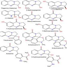 Image result for Anisotes rogersii