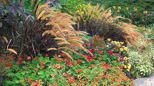 These are some of the best varieties to try in your yard; Plants To Pair With Ornamental Grasses Garden Gate