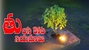 secrets of tulsi plant eeroju tv by eroju tv secrets of tulsi plant eeroju tv by