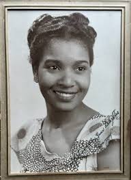 Chicago Icons: My Chicago Journey by Cheryl Lynn Bruce