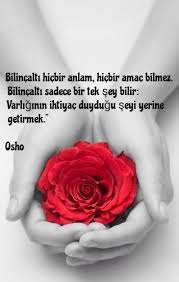 Bahar Adli Kullanicinin Duvar Sanati Panosundaki Pin Osho Yerler
