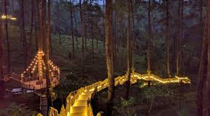 Harga Tiket Masuk Orchid Forest Cikole