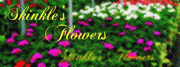 Save time on your trip to the home depot by scheduling your order with buy online pick up in store or schedule a delivery directly from your jackson store in jackson, mi. Skinkles Flowers Home Facebook