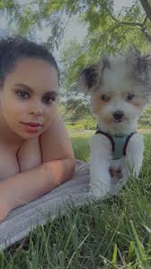 Native Pet bone broth powder for picky yorkies