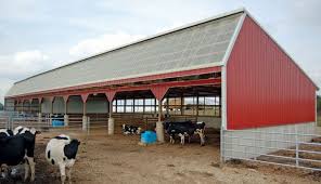 Pictures Of Post Frame Building Farm Layout Cattle Barn Farm Shed