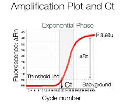 Real Time Quantitative Pcr Technical Details Scientific Services Cogentech